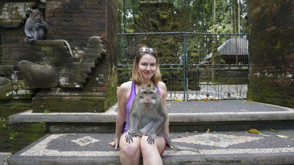 sacred monkey forest