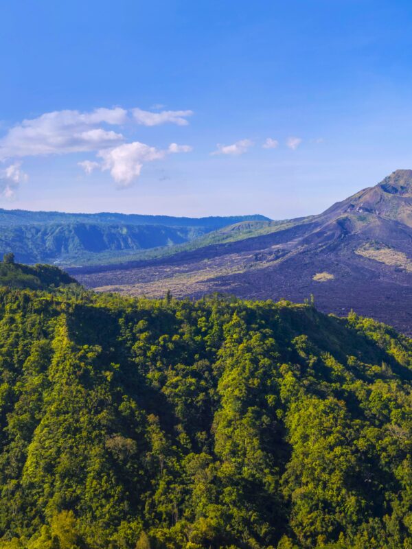 Kintamani