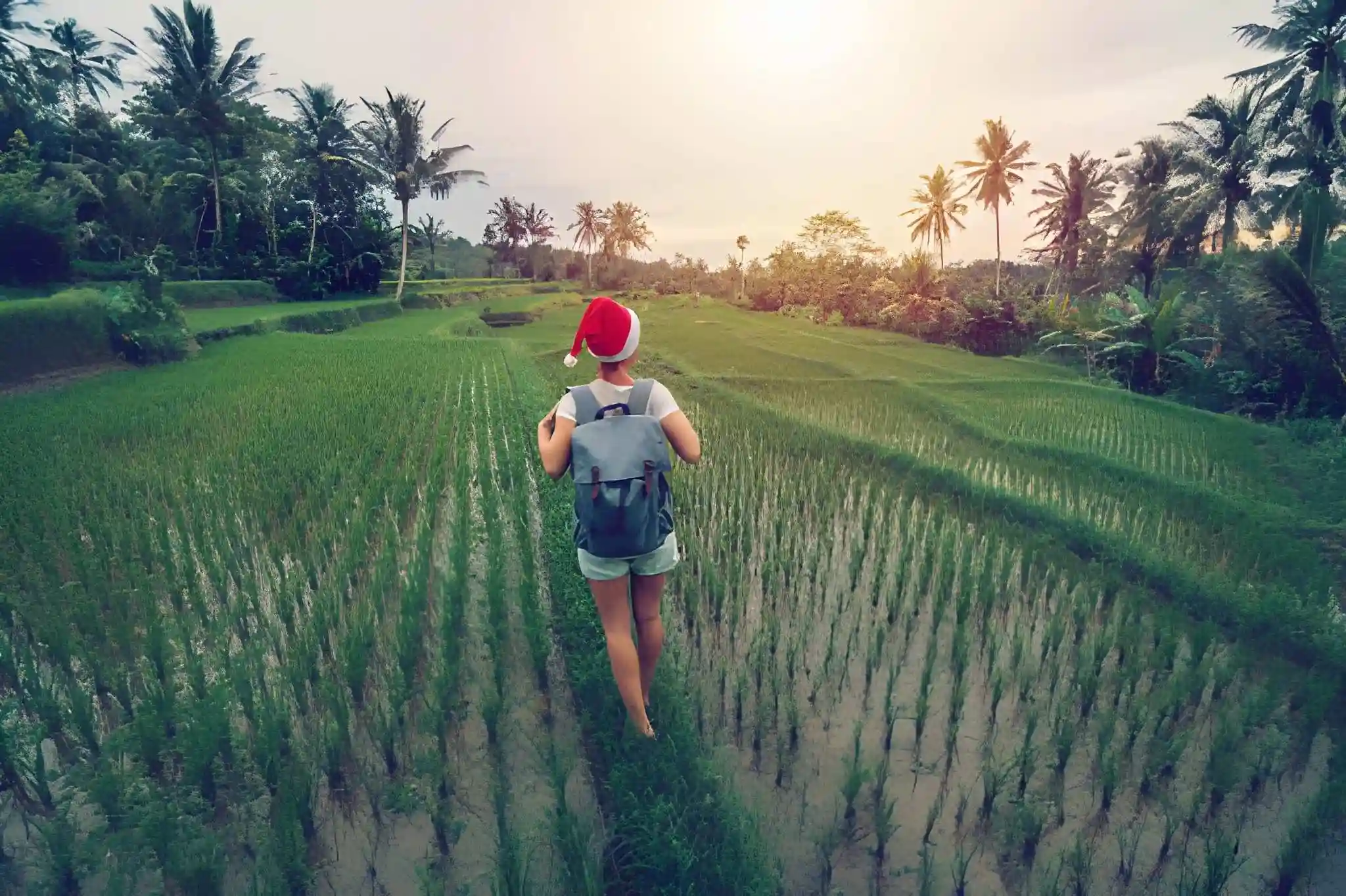 Things to Do in Bali on Christmas Day