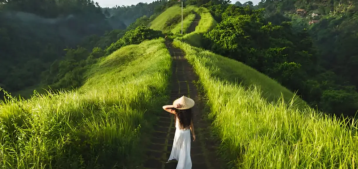 One Perfect Day in Ubud