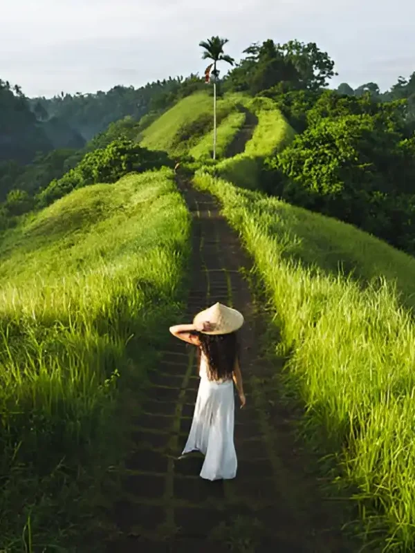 One Perfect Day in Ubud