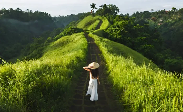 One Perfect Day in Ubud