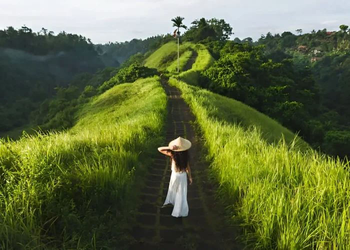 One Perfect Day in Ubud