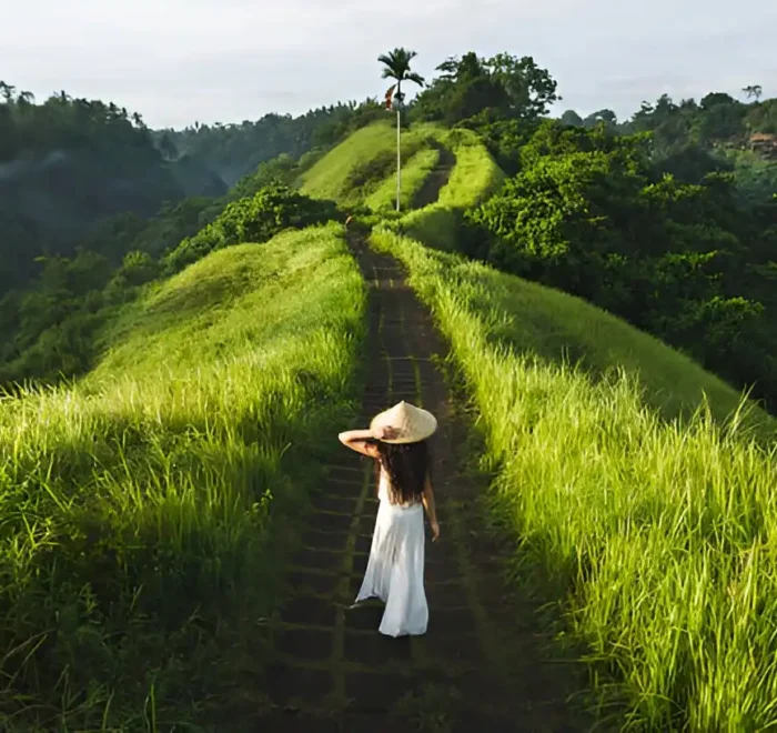 One Perfect Day in Ubud
