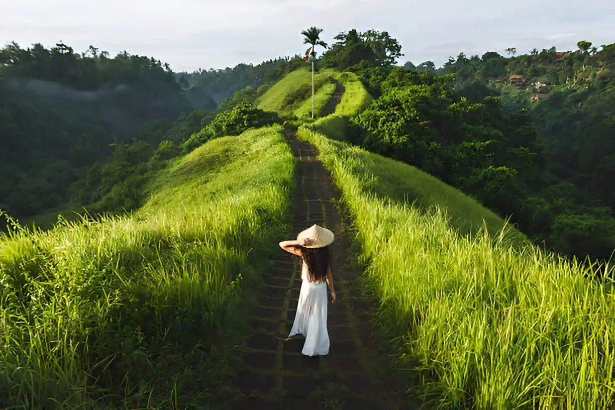 One Perfect Day in Ubud