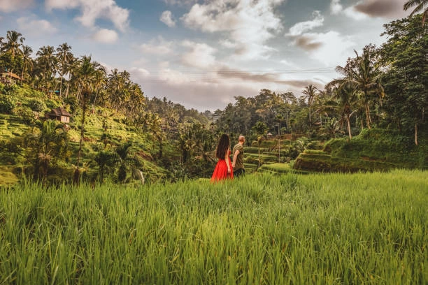 Ubud for Honeymoon