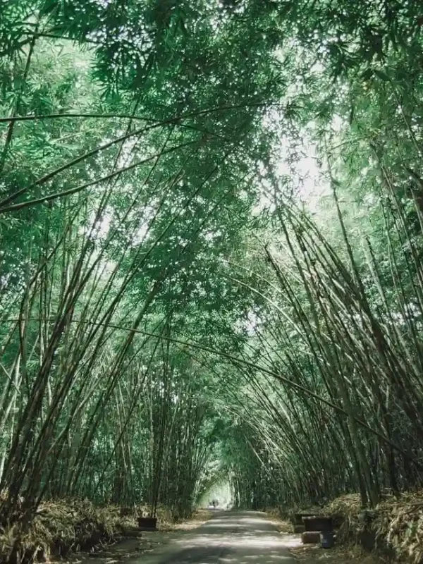 Hidden Gems In Bali