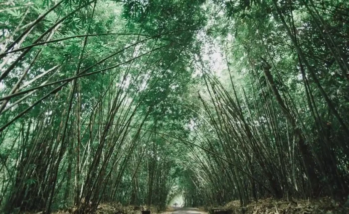 Hidden Gems In Bali