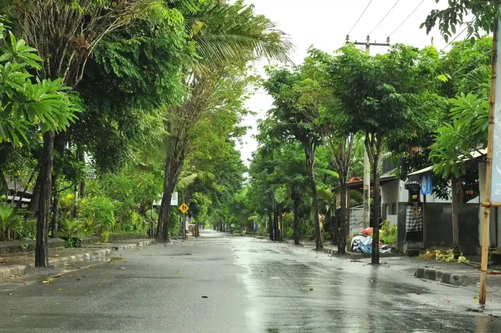 Important nyepi considerations