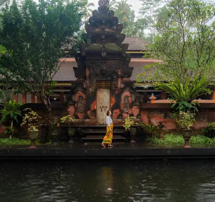 Ubud Private Full Day Tour
