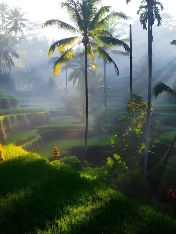 Bali Nature Itinerary Ideas