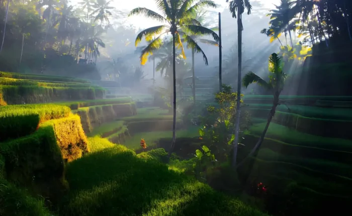 Bali Nature Itinerary Ideas