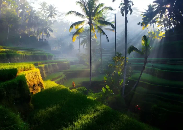 Bali Nature Itinerary Ideas