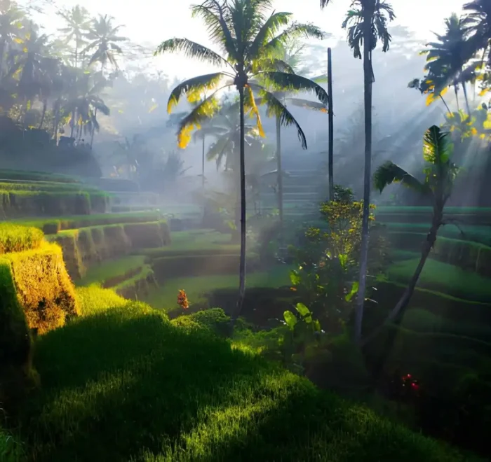 Bali Nature Itinerary Ideas