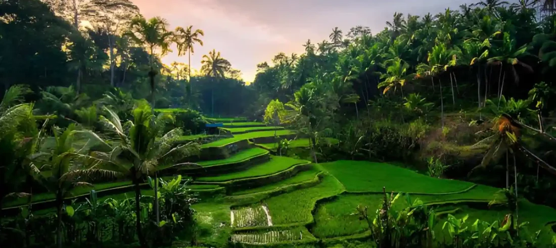 Best Viewpoints in Ubud
