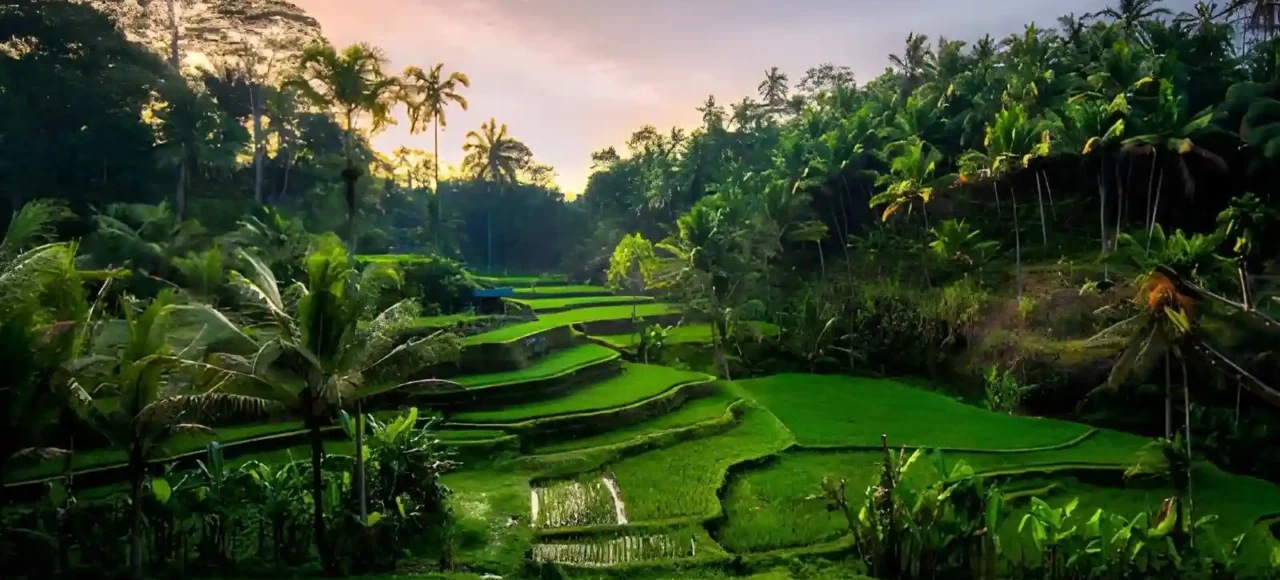 Best Viewpoints in Ubud