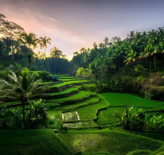 Best Viewpoints in Ubud