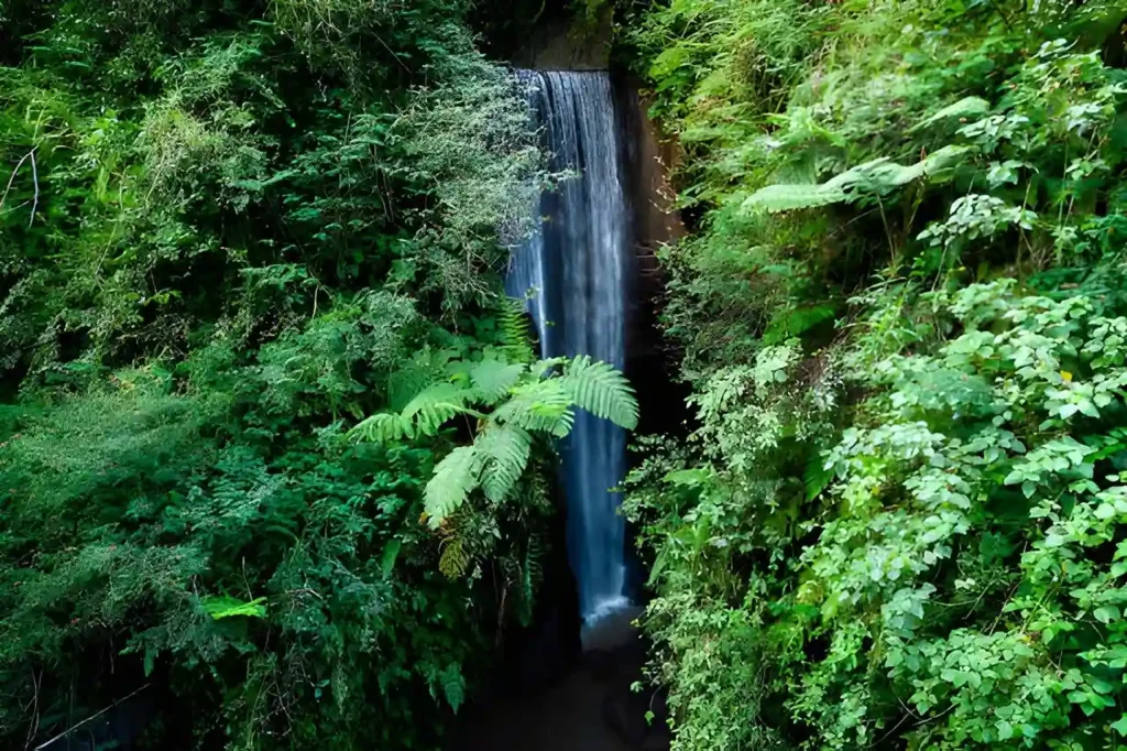 Goa Raja Waterfall View