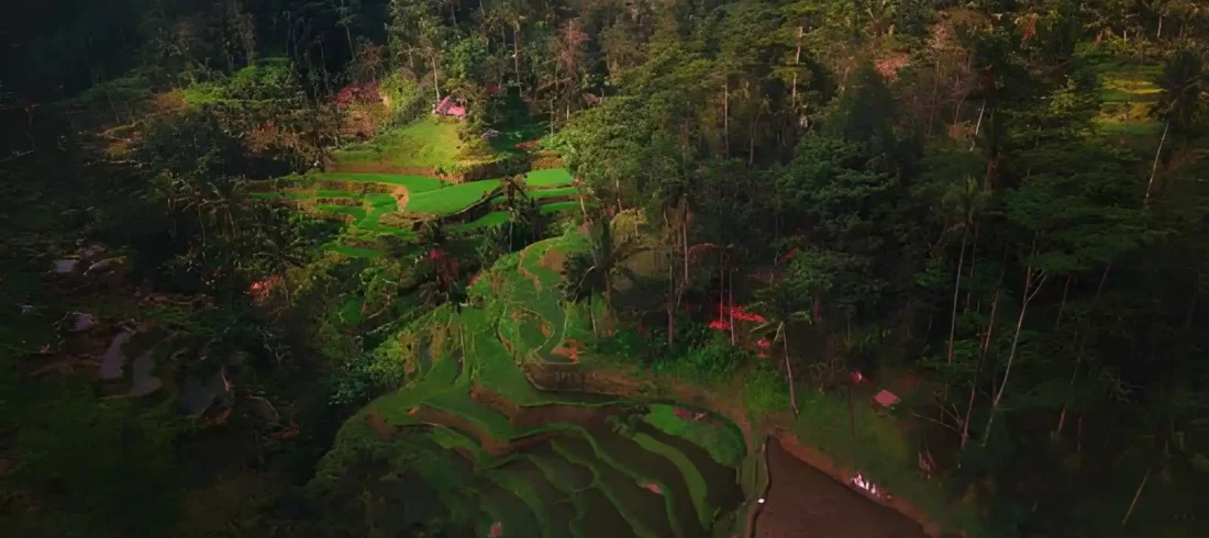 Hidden Gems in Ubud for non touristy places