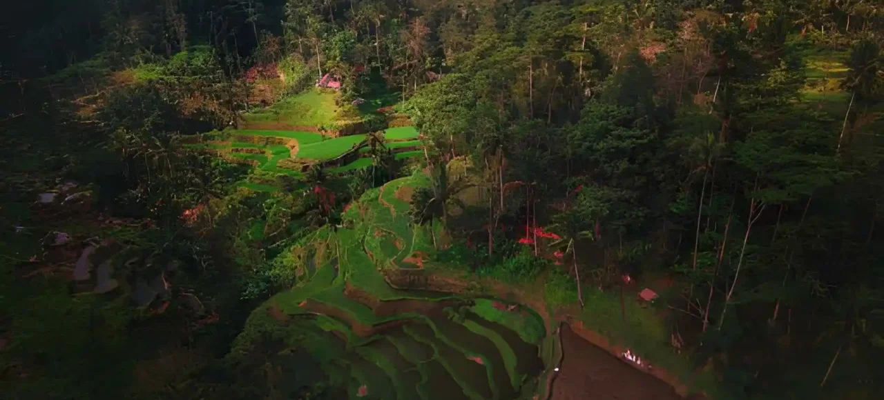 Hidden Gems in Ubud for non touristy places