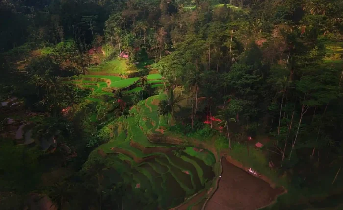 Hidden Gems in Ubud for non touristy places