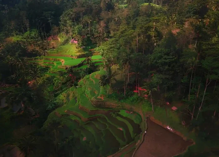 Hidden Gems in Ubud for non touristy places