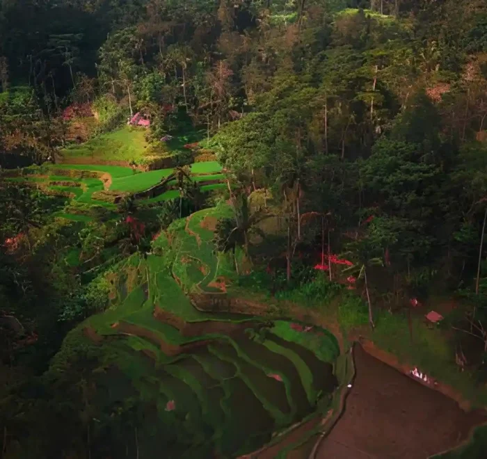 Hidden Gems in Ubud for non touristy places