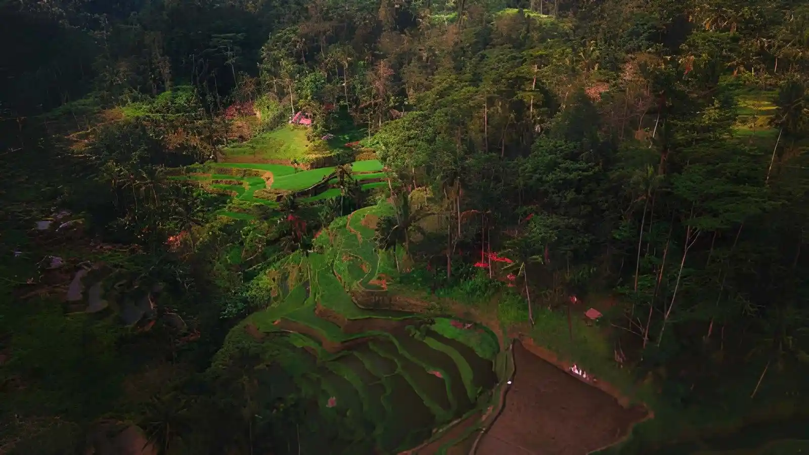 Hidden Gems in Ubud for non touristy places