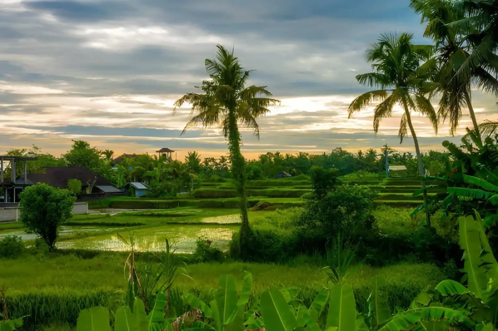 Petutu village in ubud bali