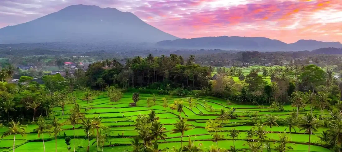 Sidemen Rice terrace