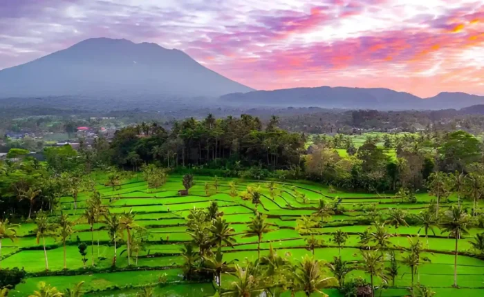 Sidemen Rice terrace