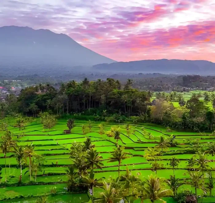Sidemen Rice terrace