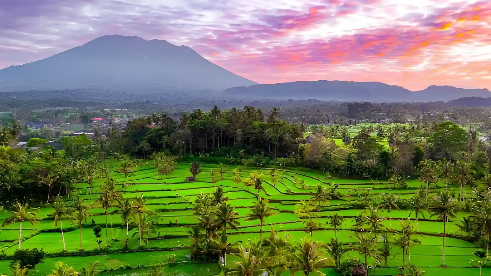 Sidemen Rice terrace