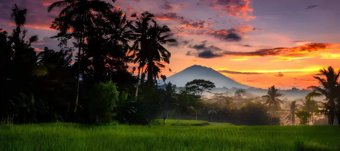 Things to do in ubud