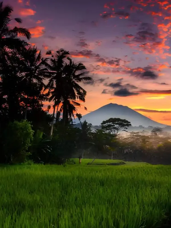 Things to do in ubud