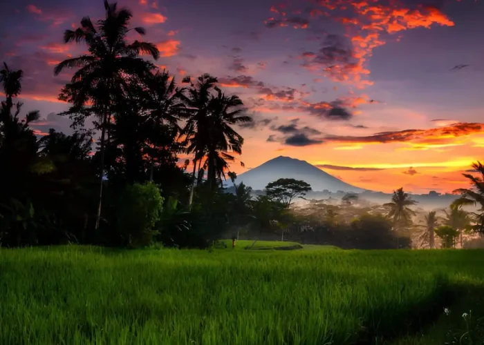 Things to do in ubud