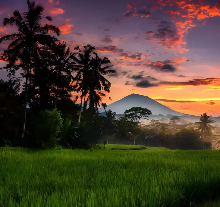 Things to do in ubud