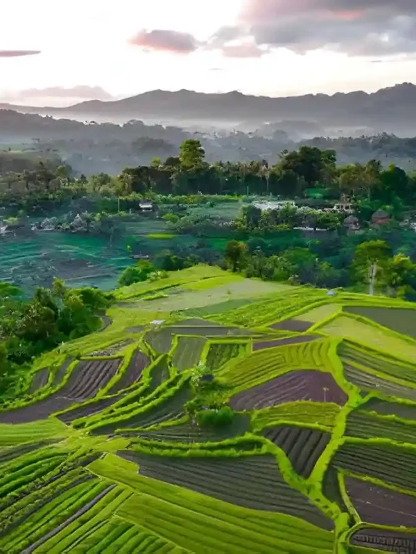things to do in sidemen bali