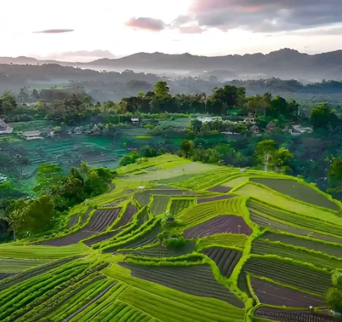 things to do in sidemen bali