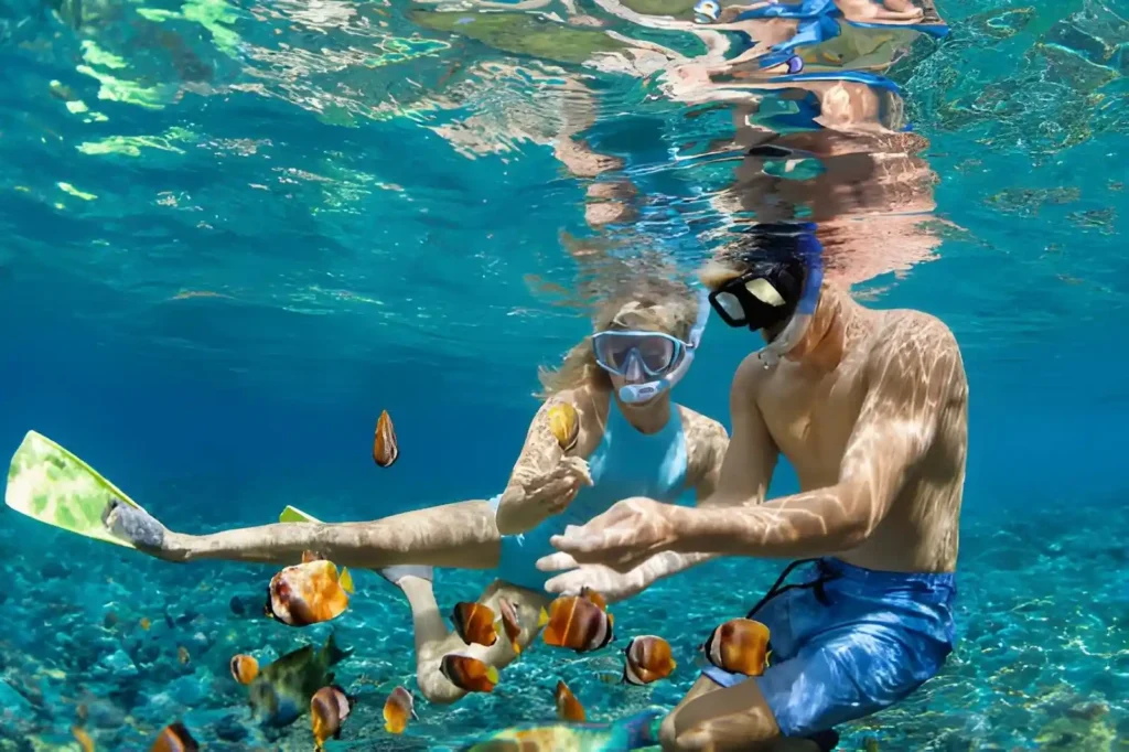 Fun Things to Do in Bali