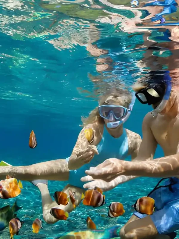 Fun Things to Do in Bali
