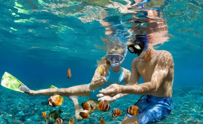 Fun Things to Do in Bali