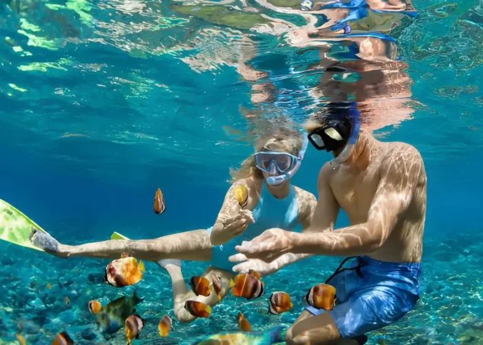 Fun Things to Do in Bali