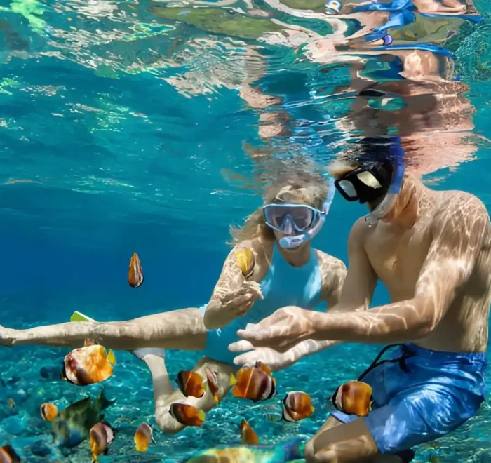 Fun Things to Do in Bali