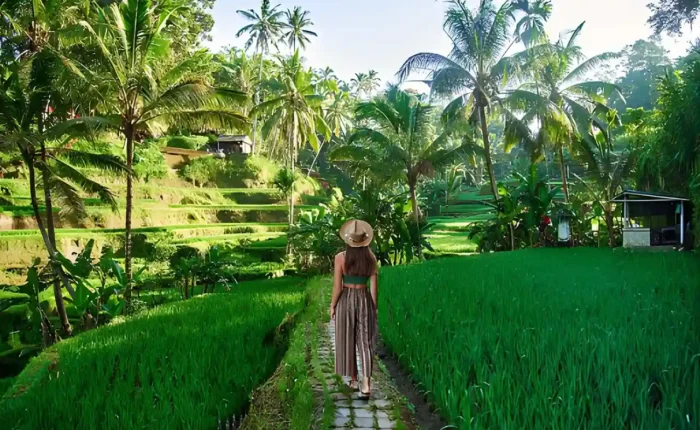 Relaxing things to do in bali