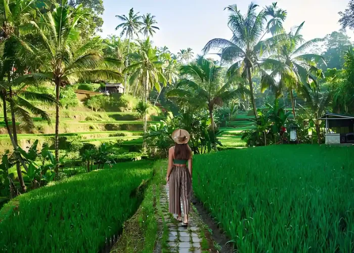 Relaxing things to do in bali