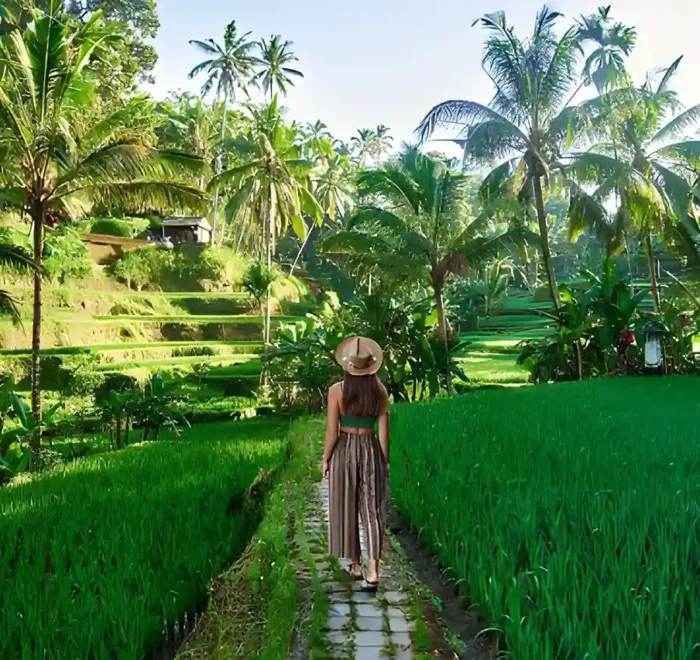 Relaxing things to do in bali