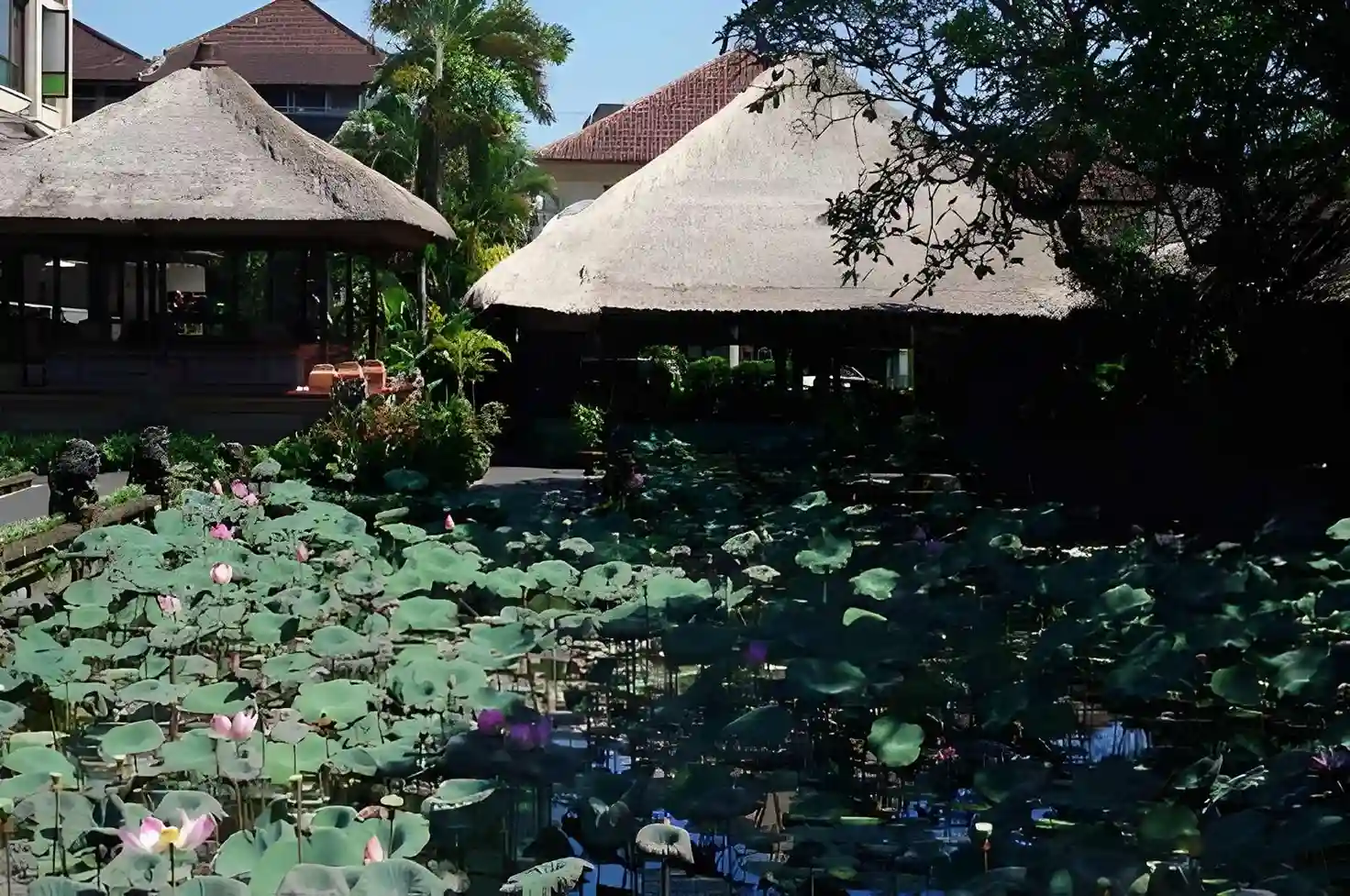 Saraswati Temple Lotus Pond