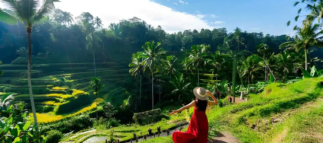 Bali Dry Season Guide 2026