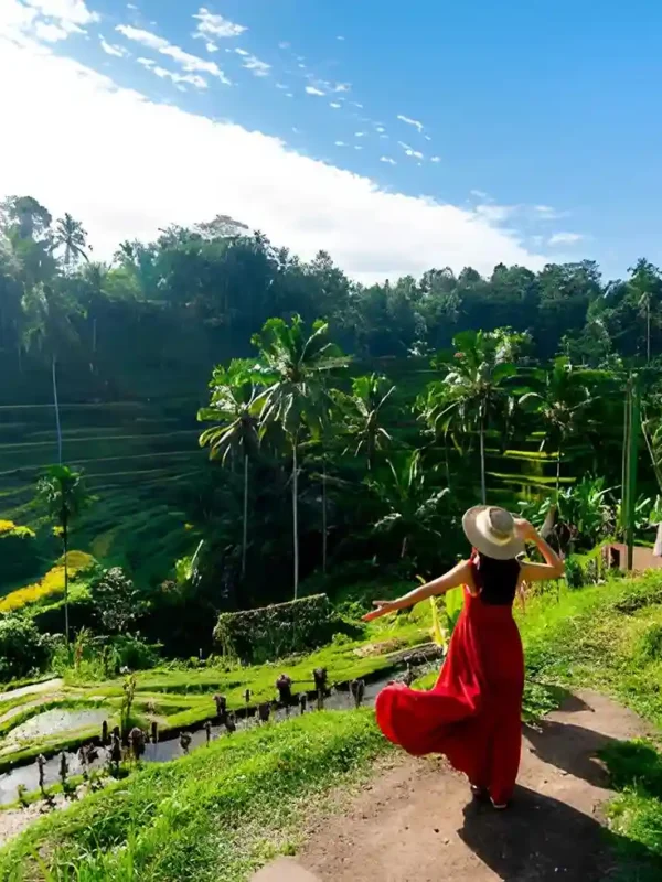 Bali Dry Season Guide 2026